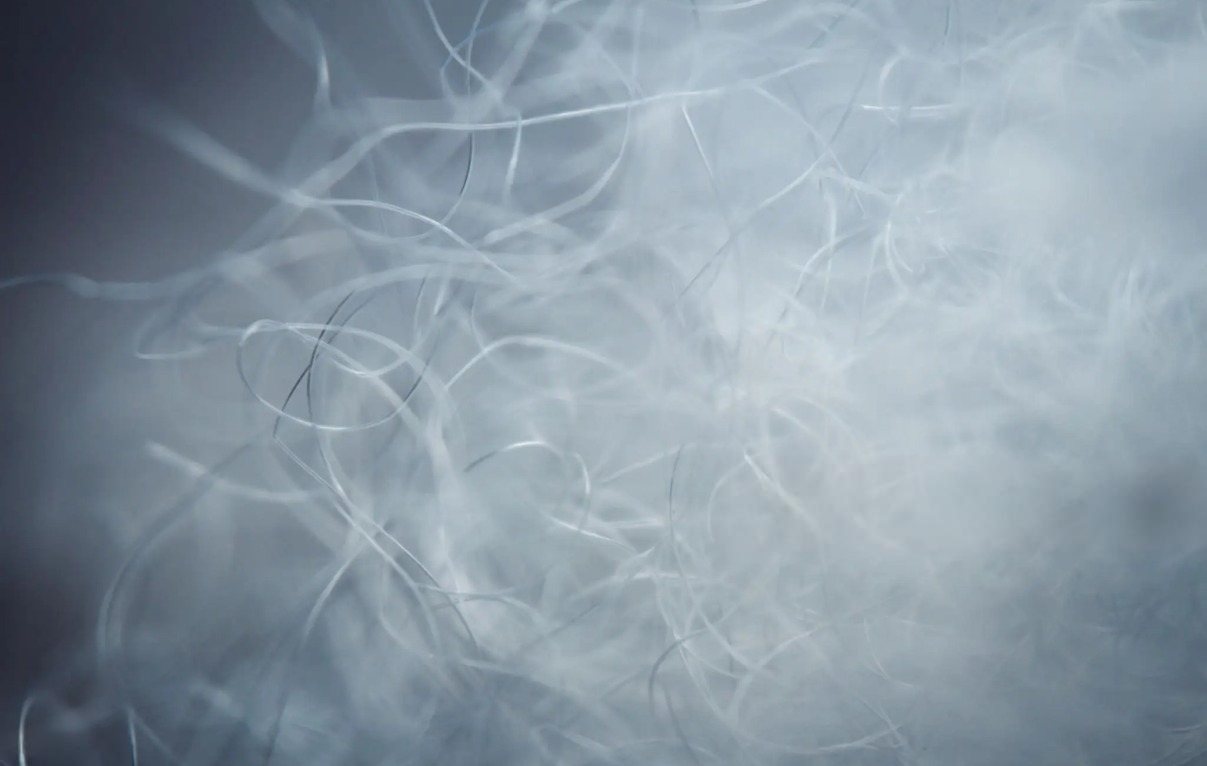 DeWatermark.ai_1736115208140_8abd44d0-6ca4-4ac7-bb50-fc20add2049d.png